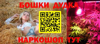 дурь Тверь
