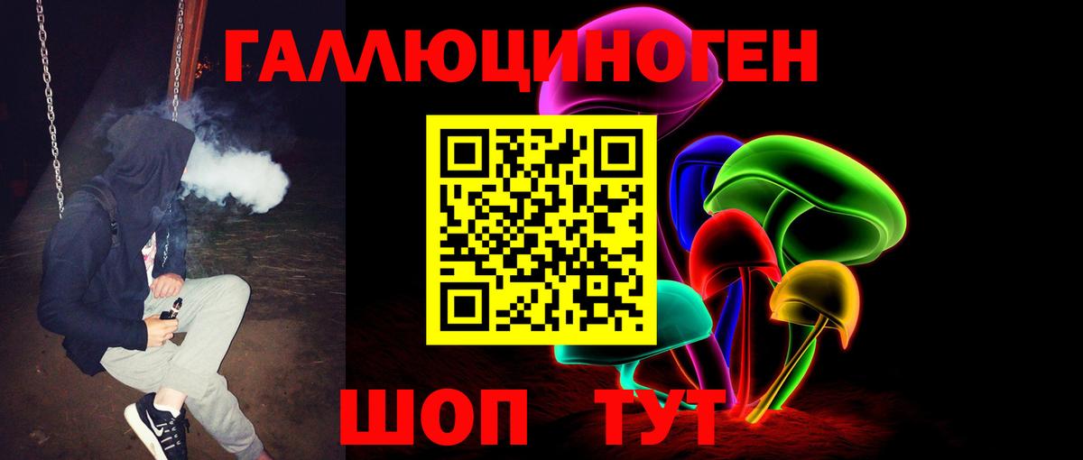 купить   Вход с VPN  Реутов  Псилоцибиновые грибы Psilocybe 